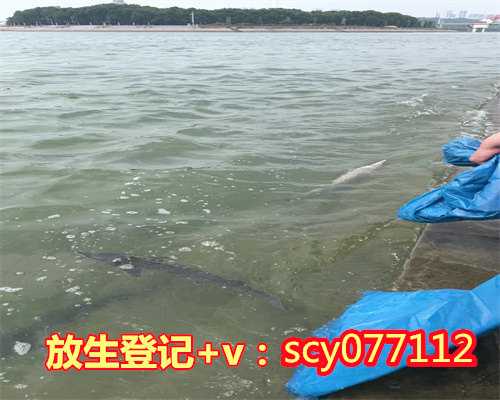 滁州长期放生泥鳅，滁州蛇放生有什么讲究，滁州市桥乌龟放生