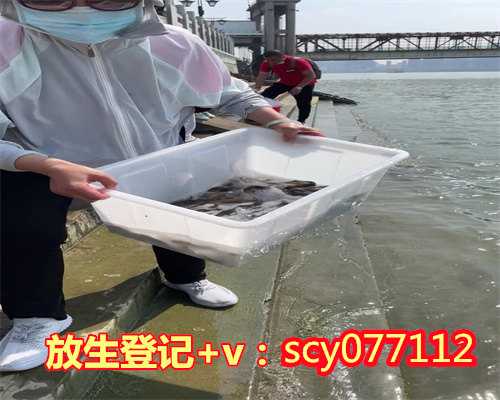 扬州放生鱼，扬州甲鱼可以放生到扬州里吗，扬州小乌龟怎么放生
