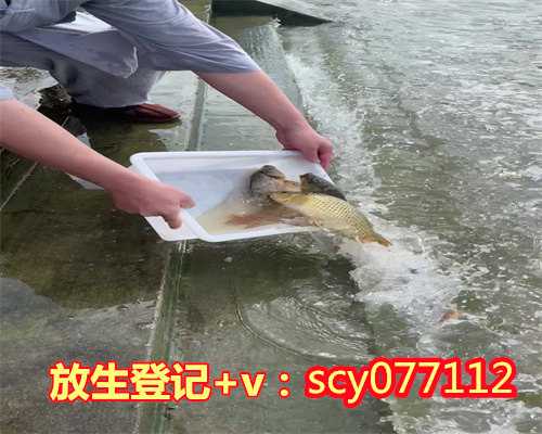 滁州鱼籽怎么放生,滁州市区哪里可以放生草龟,滁州放生护生团网站