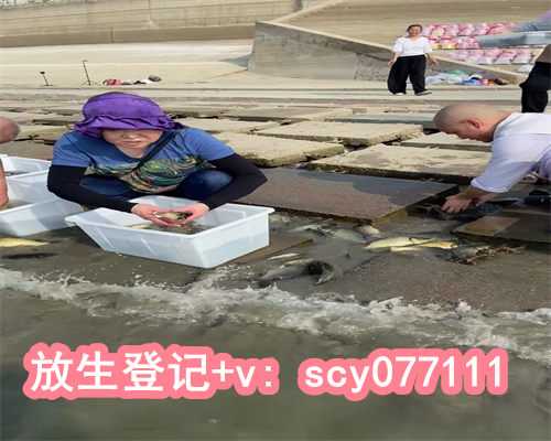 武汉哪里有放生，2023天津大悲院放生法会