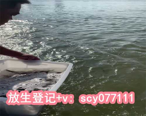 北京哪个湖可以放生，道教为什么不放生了