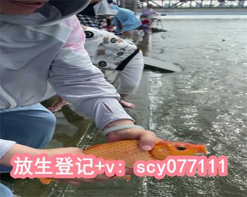 武汉长江放生地点有哪些，63岁买红鲤鱼放生可以吗